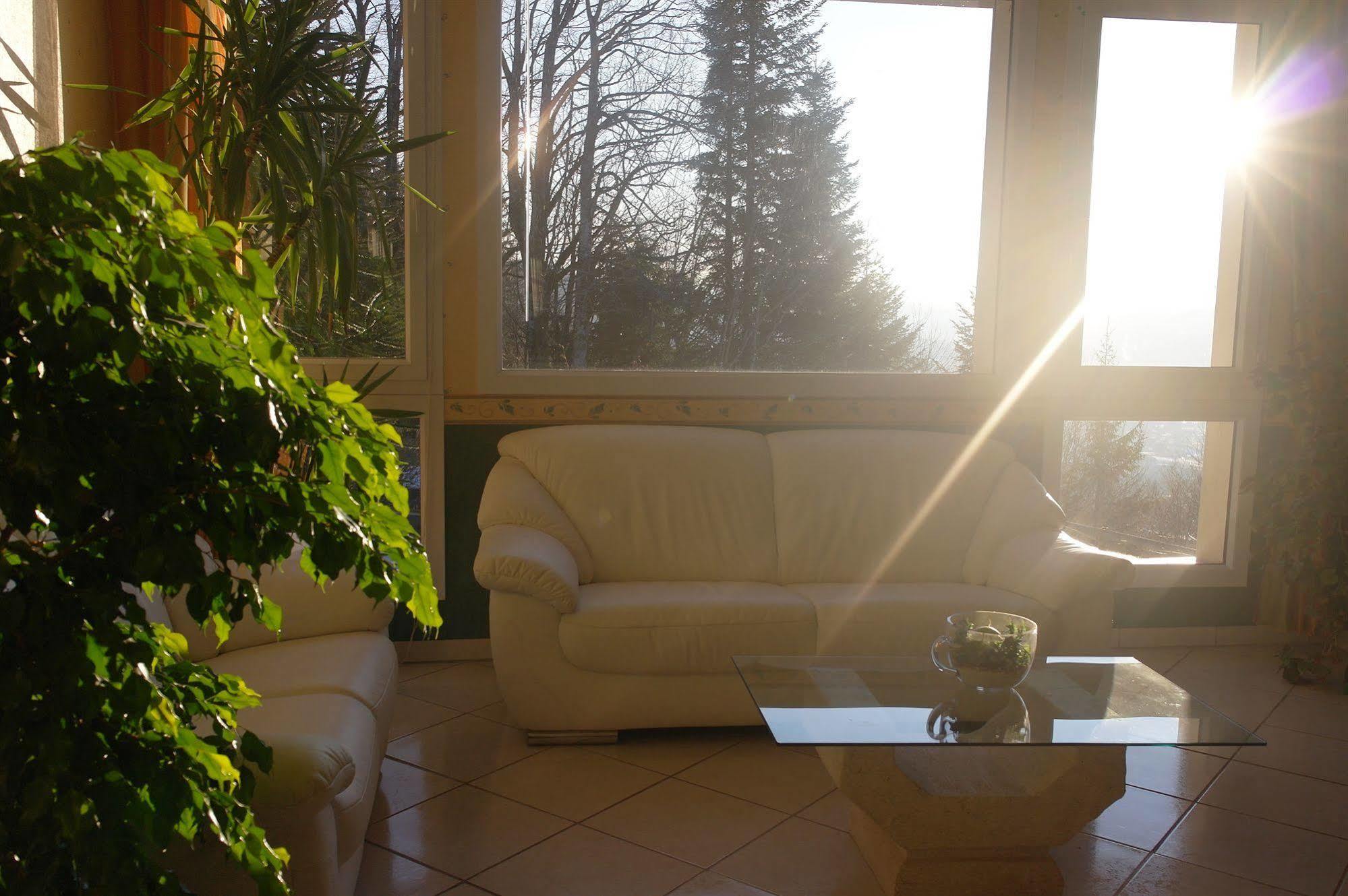 Hostellerie Saint Clement Vic-sur-Cère Kültér fotó